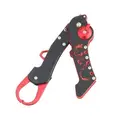 Black - RED