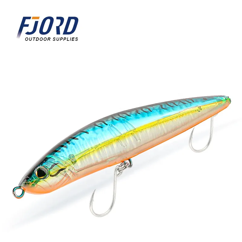 FJORD Customize 200mm 64g Rocket Pencil Lure Minnow Pencil Fishing Lure Set Top Water Hard Lure Blank Sea Water