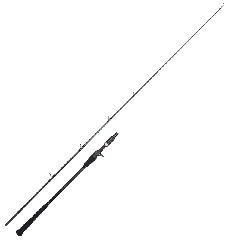 FJORD Custom 2m Carbon Fishing Rod for Lure Fishing for Carp Target Species Light Slow JiggingSaltwater Spin Fishing