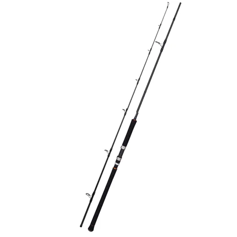 FJORD OEM FUJI Guides Carbon Blank POWERCROSS SHORE JIGGING ROD 2.88m for Saltwater Targets Marlin and Bass