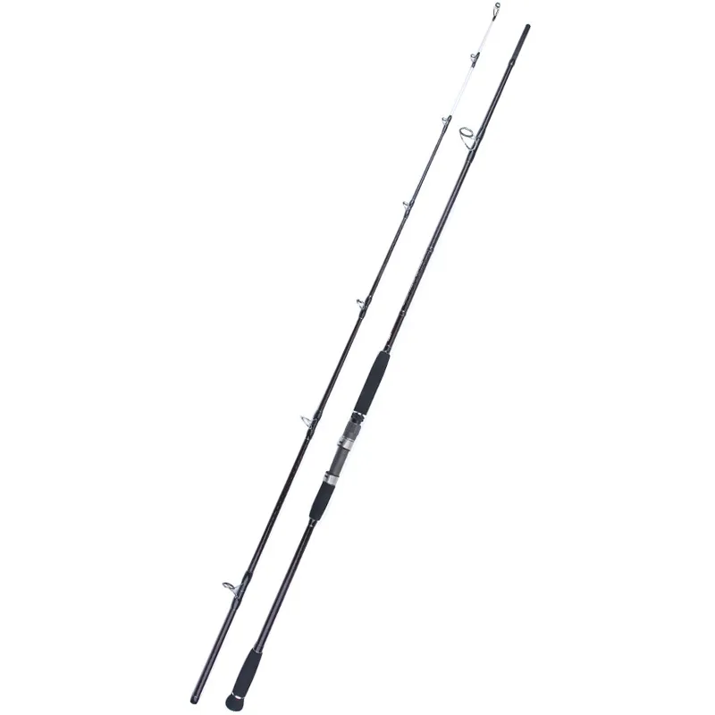 FJORD OEM 3m Big Game Trolling Lure 2-Section Sea Fishing Rod for Carp Bass Saltwater Fish in Rivers Ocean Game Trolling