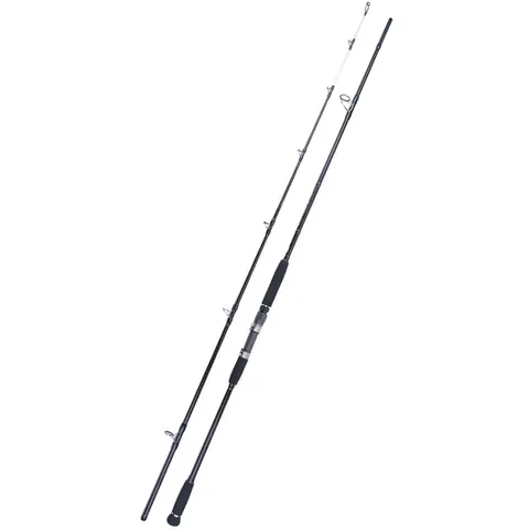 FJORD OEM 3m Big Game Trolling Lure 2-Section Sea Fishing Rod for Carp Bass Saltwater Fish in Rivers Ocean Game Trolling