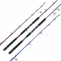 FJORD  Lurekiller Best Unique Section Sea Boat Fishing Rod 1.58m Carbon Fiber Carp Fishing  Rod  Jigging - photo 1