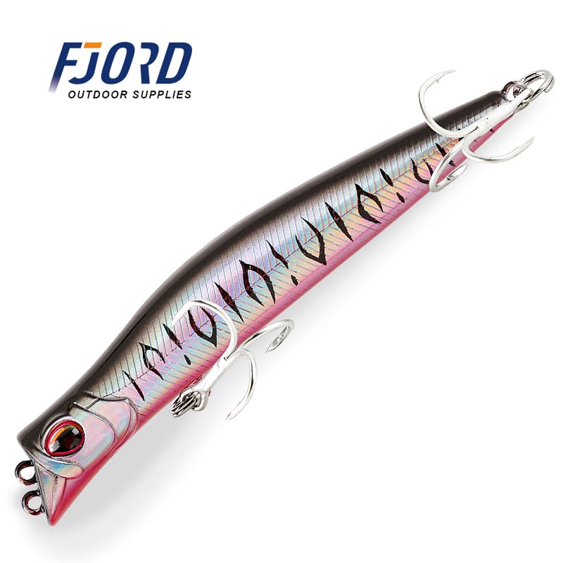 FJORD 100mm/11g Floating Minnow Lures Plastic Hrad Fishing Lure 3D Eyes Fishing Lure detail 2