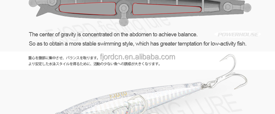 FJORD ABS Plastic Hard Body Minnow Lure 105mm 30g 3D Eyes Saltwater Midwater Bait Kit for River & Lake Fishing detail 2