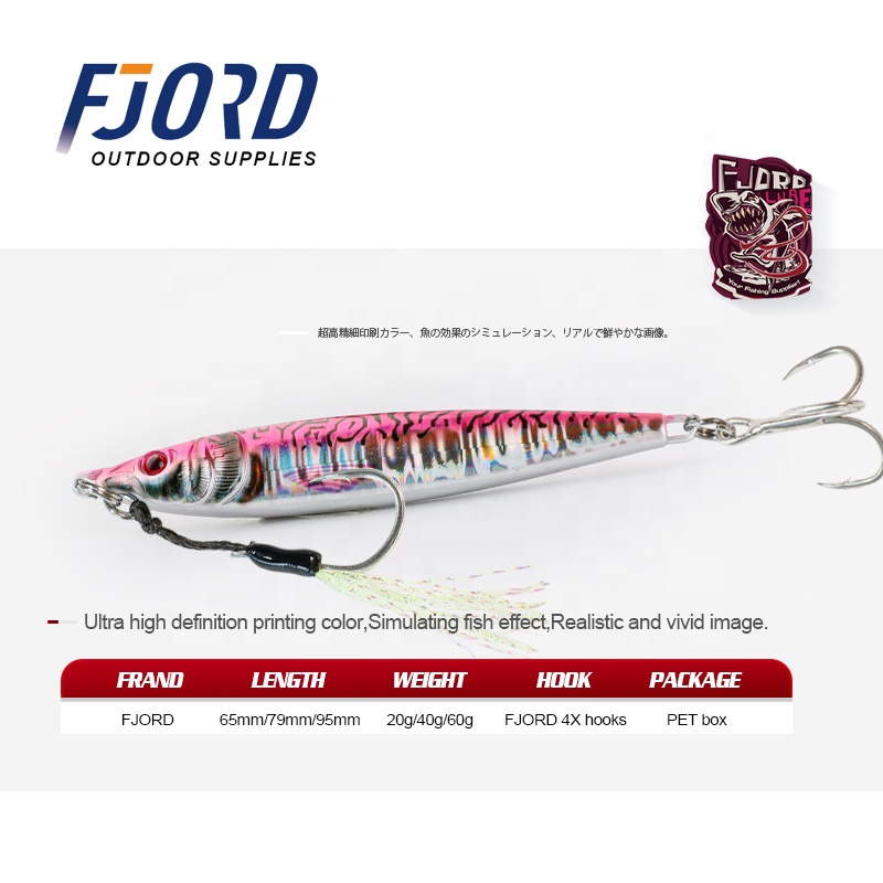 FJORD High Quality Stock 20g 40g 60g Jigging Lure Saltwater Metal Jig for Long Casting 3D Color Jigs detail 2