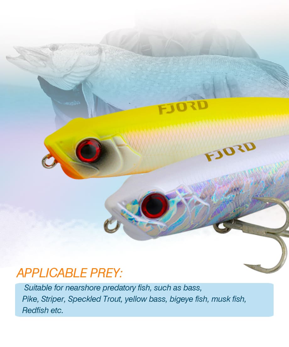 FJORD High Quality Customized Plastic Lure 110mm 22g Floating Saltwater Pencil Lure for River Lake Stream Artificial Hard Bait detail 2