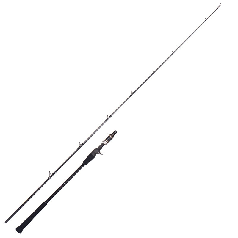 FJORD Custom 2m Carbon Fishing Rod for Lure Fishing for Carp Target Species Light Slow JiggingSaltwater Spin Fishing