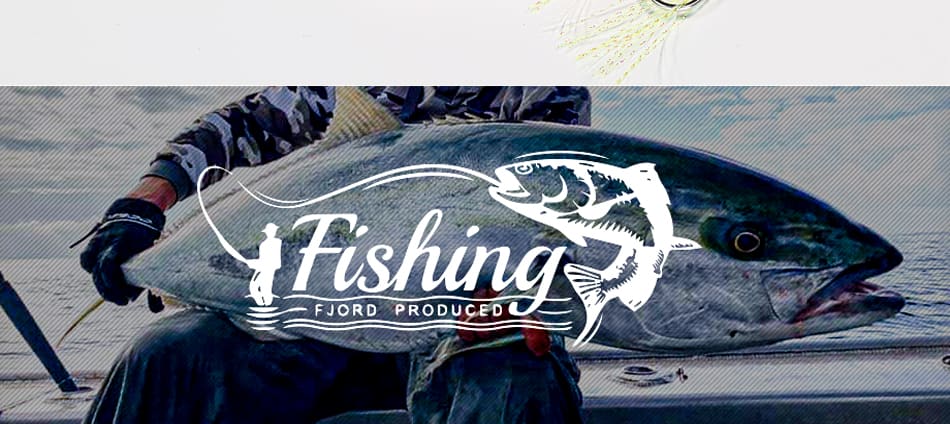FJORD S Type Lead Slice Printed Metal Jig 100g Saltwater Sea Fishing Bottom Bait Tuna Seabass Lure detail 4