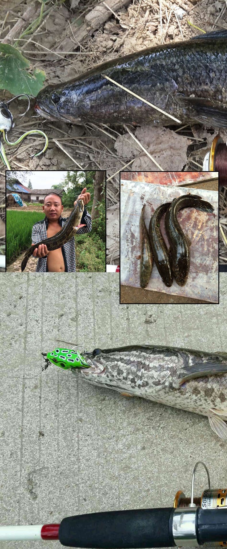 FJORD 55mm 66MM Soft Plastic Fishing Lures Japan Soft Toad Frogs Fishing Lures detail 9